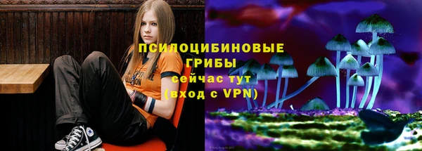 a pvp Алзамай