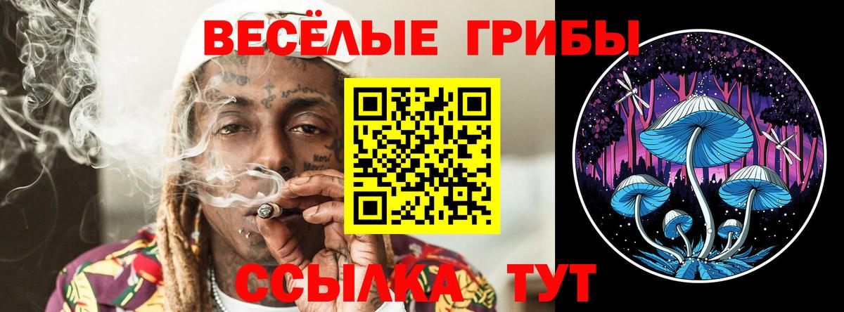 Ачинск  Псилоцибиновые грибы Psilocybine cubensis  Вход с VPN 
