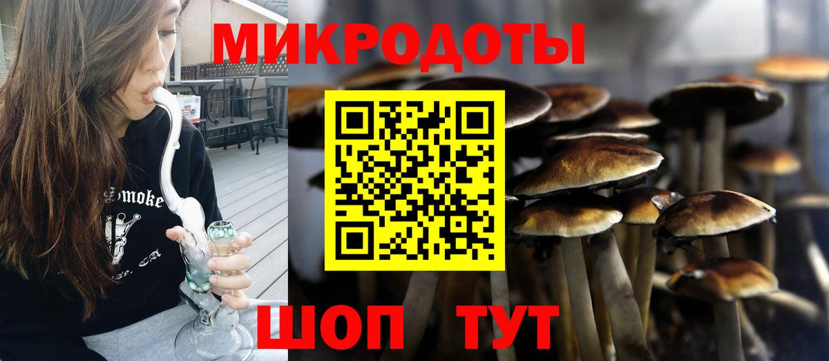 Псилоцибиновые грибы Cubensis Ачинск